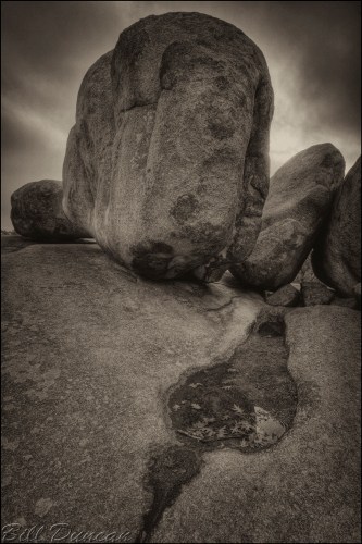 Hey Hey, Rock and Roll, Rock On!