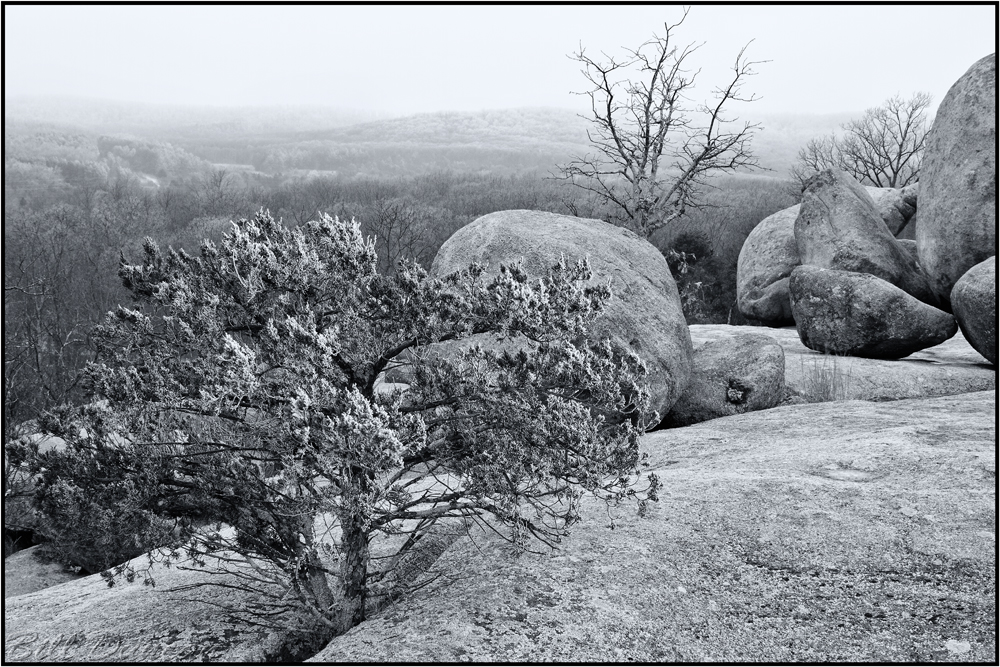 Hoarfrost At Elephant Rocks
