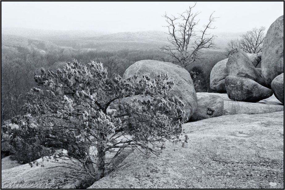 Hoarfrost At Elephant Rocks