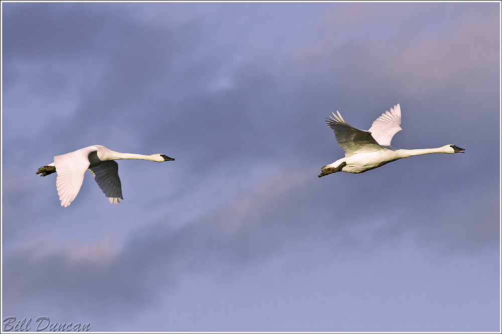 Changing Skies IMG_0114