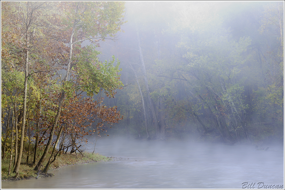 Currently I Dream... IMG_1645