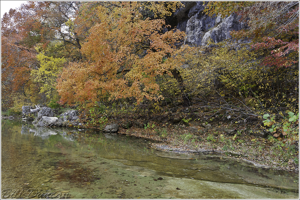 Bryant Creek, Autumn 2012 IMG_1836