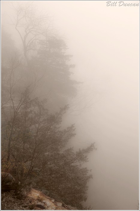 The Beginningless Past IMG_2228