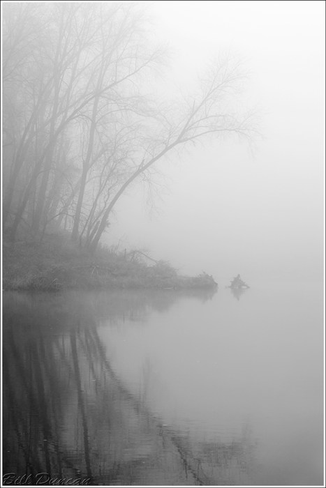 Retrospection IMG_2249