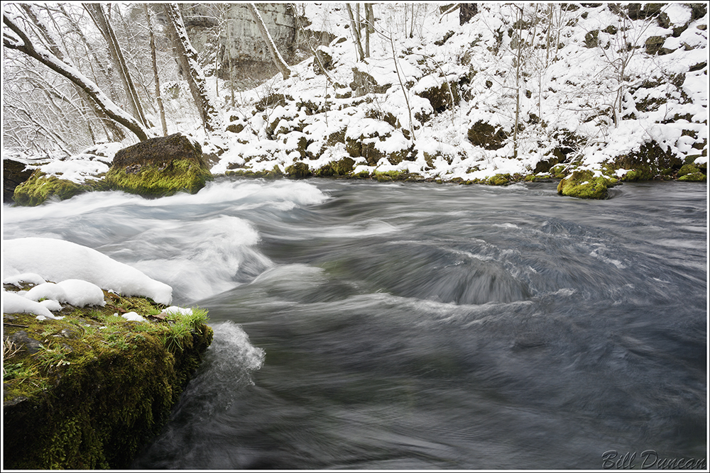 Cold Origins IMG_2366