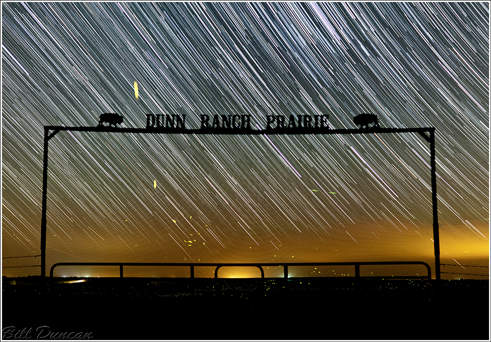 Startrails Dunn 1