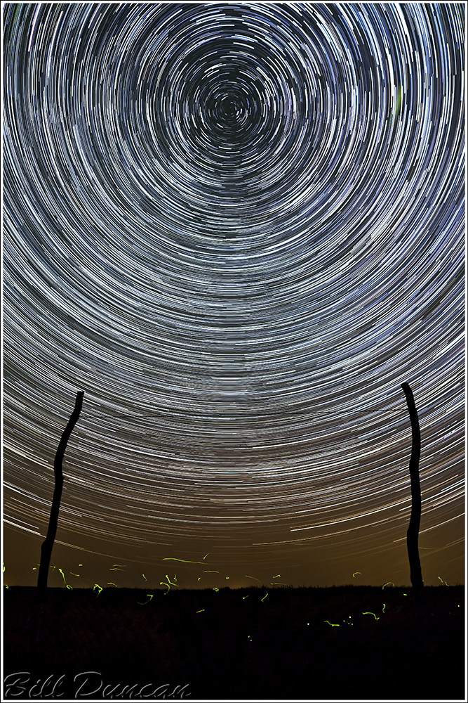 Startrails Dunn 2B