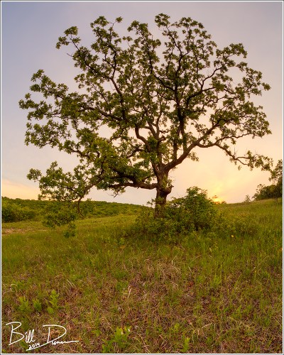 IMG_0531_2_3_4_tonemapped Final