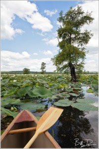 The Only Way to Travel