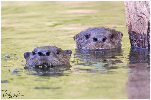 I See You, You See Me