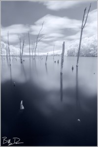 Council Bluff Lake - Infrared