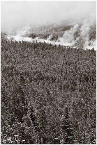 Earth, Wind and Fire