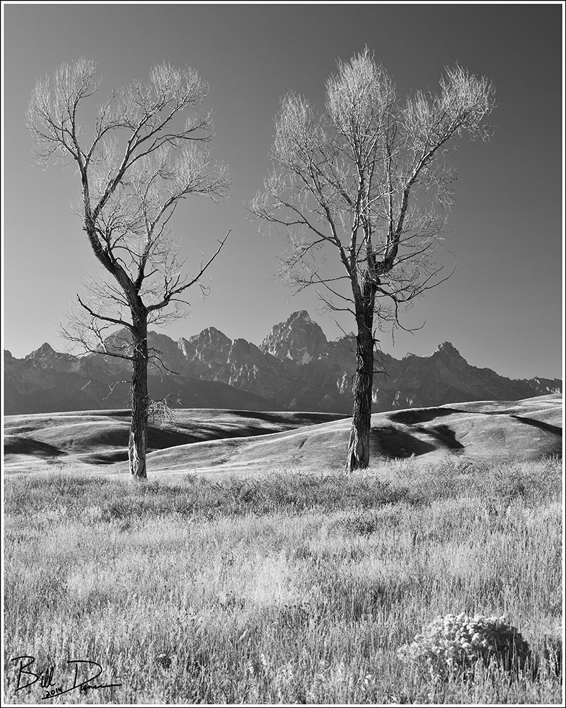 IMG_1944 High Clarity B&W