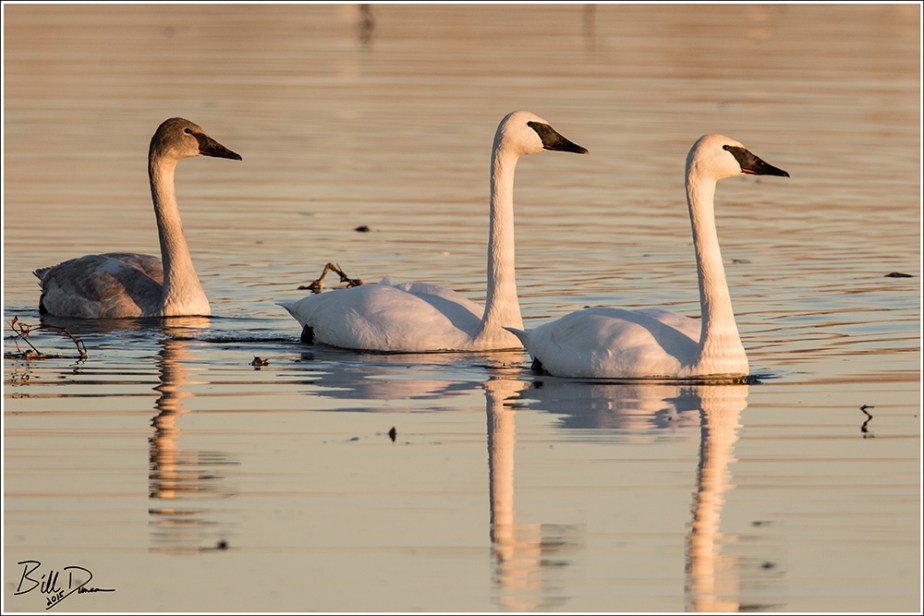 Rainy Days and Mondays Always Get Me Down