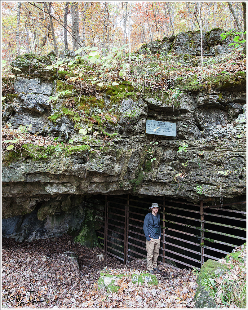 Ozark Bill in the Irish