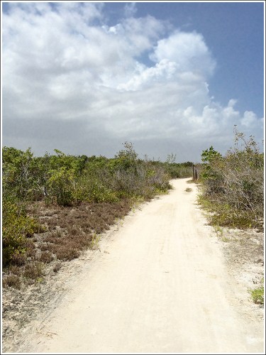 Cabo Rojo Trails