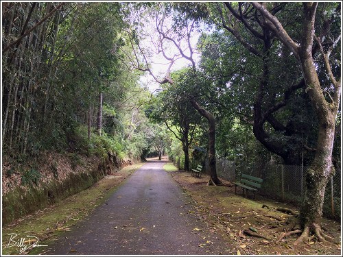 Elfin Woods - Tourist Style