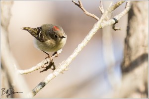 See you in the fall...