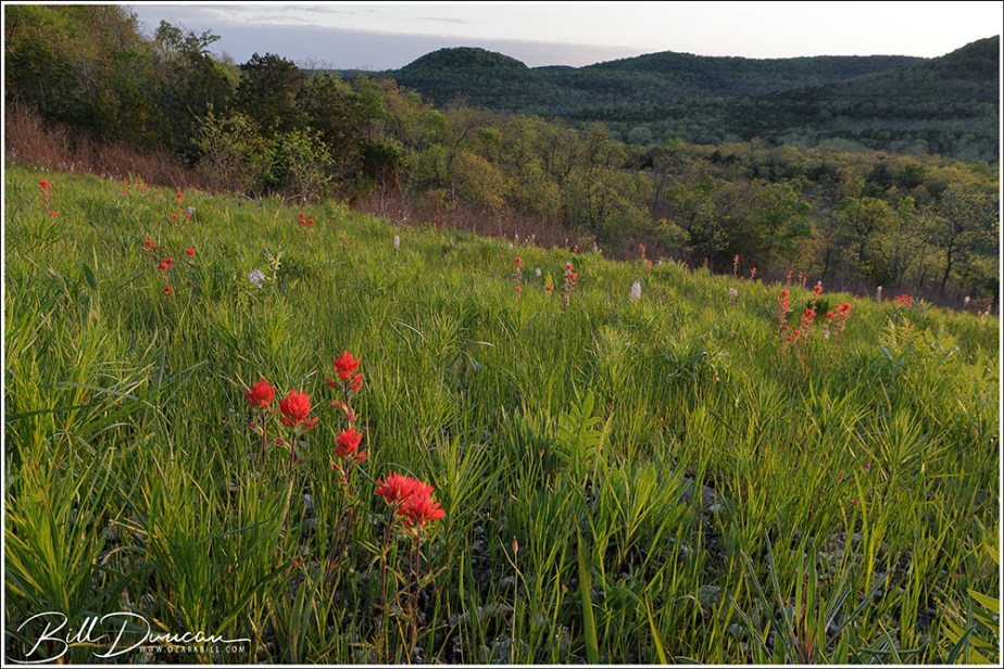 Roaring River Conservation&nbsp;Area