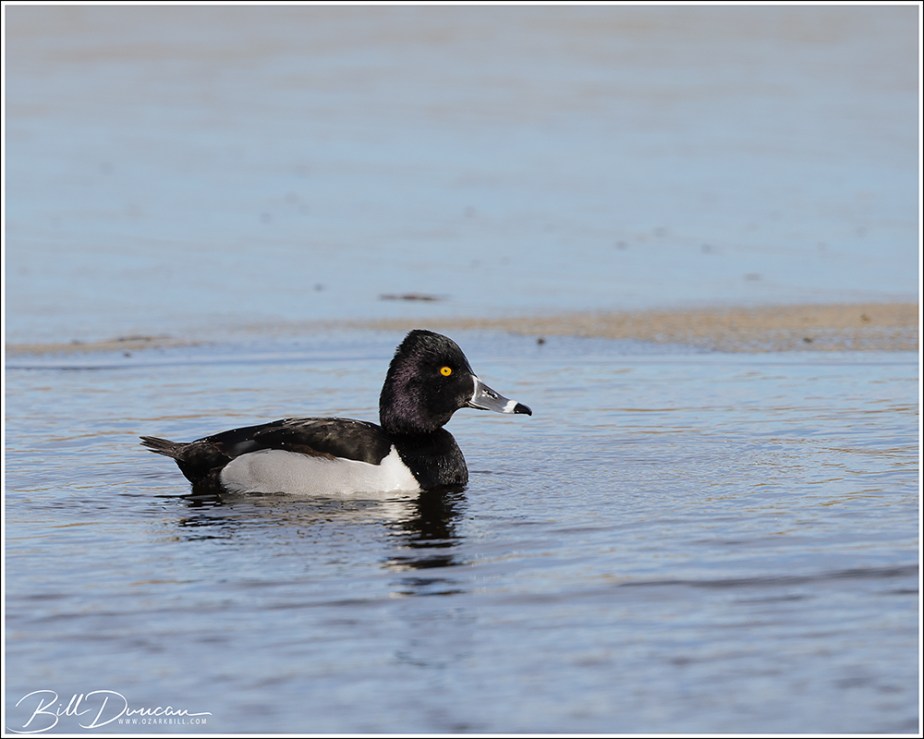 Canon R5 Video – First&nbsp;Look