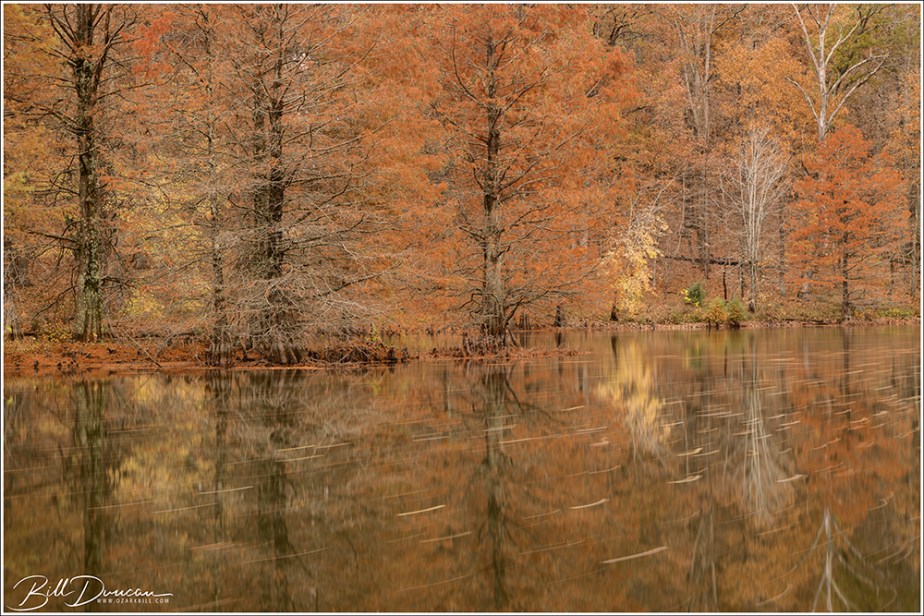 Autumn Photography in the Shawnee –&nbsp;2022