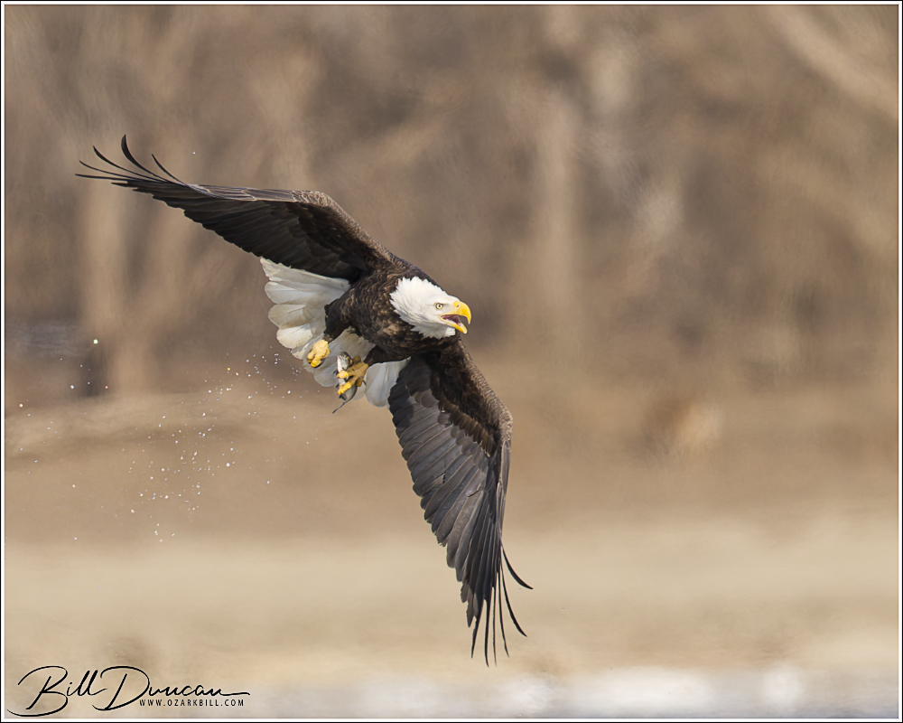 25-01-20_clar_ozb_0160-abea.